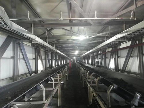 洗選廠月度洗選產量創新高，個人衛生用品銷售市場全面開花