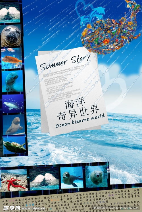 廣告設(shè)計(jì) 創(chuàng)意與策略的視覺融合